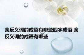 含反义词的成语有哪些四字成语 含反义词的成语有哪些 