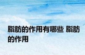 脂肪的作用有哪些 脂肪的作用 