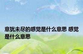 意犹未尽的感觉是什么意思 感觉是什么意思 