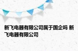 新飞电器有限公司属于国企吗 新飞电器有限公司 