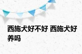 西施犬好不好 西施犬好养吗 