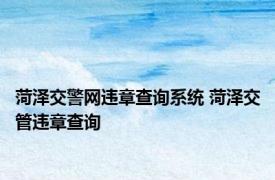 菏泽交警网违章查询系统 菏泽交管违章查询 