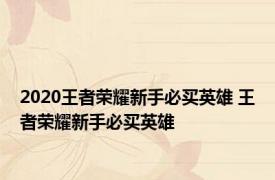 2020王者荣耀新手必买英雄 王者荣耀新手必买英雄 
