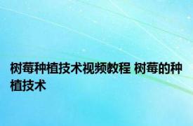 树莓种植技术视频教程 树莓的种植技术 