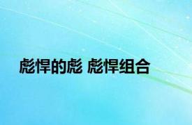 彪悍的彪 彪悍组合 