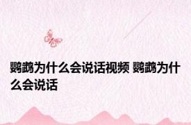 鹦鹉为什么会说话视频 鹦鹉为什么会说话 