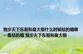 独步天下东哥和皇太极什么时候结的婚哪一集结的婚 独步天下东哥和皇太极 