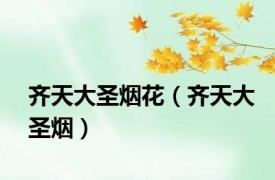 齐天大圣烟花（齐天大圣烟）