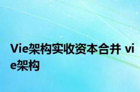 Vie架构实收资本合并 vie架构 