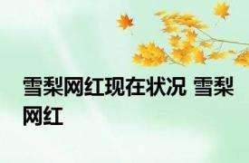 雪梨网红现在状况 雪梨网红 