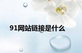 91网站链接是什么