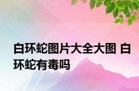 白环蛇图片大全大图 白环蛇有毒吗 