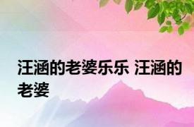 汪涵的老婆乐乐 汪涵的老婆 