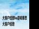 大客户经理ka是啥意思 大客户经理 