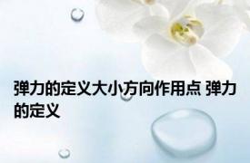 弹力的定义大小方向作用点 弹力的定义 
