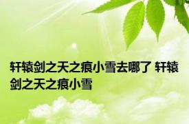 轩辕剑之天之痕小雪去哪了 轩辕剑之天之痕小雪 