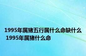 1995年属猪五行属什么命缺什么 1995年属猪什么命 