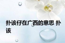 扑该仔在广西的意思 扑该 