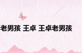 老男孩 王卓 王卓老男孩 