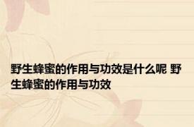 野生蜂蜜的作用与功效是什么呢 野生蜂蜜的作用与功效 