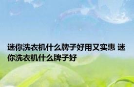 迷你洗衣机什么牌子好用又实惠 迷你洗衣机什么牌子好 