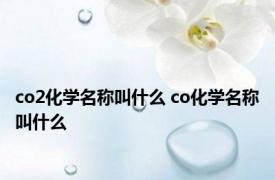 co2化学名称叫什么 co化学名称叫什么 