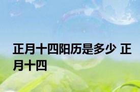 正月十四阳历是多少 正月十四 