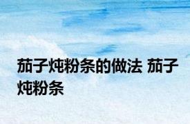 茄子炖粉条的做法 茄子炖粉条 