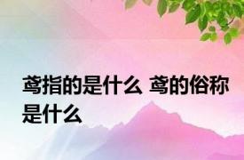 鸢指的是什么 鸢的俗称是什么 
