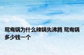 鸳鸯锅为什么辣锅先沸腾 鸳鸯锅多少钱一个 