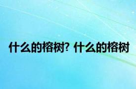 什么的榕树? 什么的榕树 