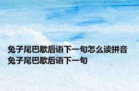 兔子尾巴歇后语下一句怎么读拼音 兔子尾巴歇后语下一句 