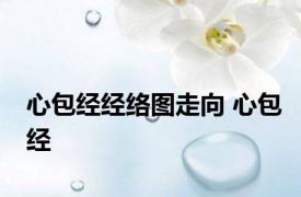 心包经经络图走向 心包经 