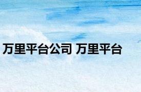 万里平台公司 万里平台 