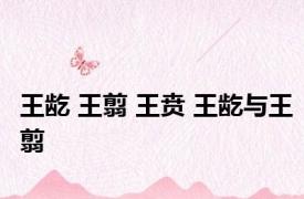王龁 王翦 王贲 王龁与王翦 