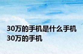 30万的手机是什么手机 30万的手机 