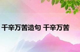 千辛万苦造句 千辛万苦 