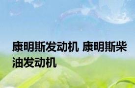康明斯发动机 康明斯柴油发动机 