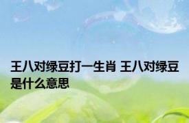 王八对绿豆打一生肖 王八对绿豆是什么意思 