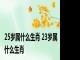 25岁属什么生肖 23岁属什么生肖 