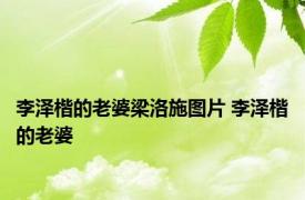 李泽楷的老婆梁洛施图片 李泽楷的老婆 