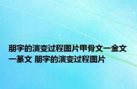 朋字的演变过程图片甲骨文一金文一篆文 朋字的演变过程图片 