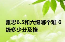 雅思6.5和六级哪个难 6级多少分及格 