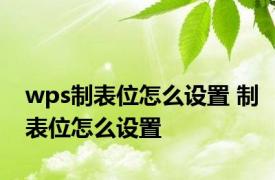 wps制表位怎么设置 制表位怎么设置 