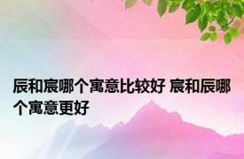 辰和宸哪个寓意比较好 宸和辰哪个寓意更好 