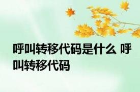 呼叫转移代码是什么 呼叫转移代码 