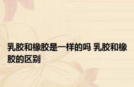 乳胶和橡胶是一样的吗 乳胶和橡胶的区别 
