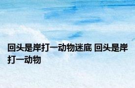 回头是岸打一动物迷底 回头是岸打一动物 