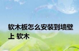 软木板怎么安装到墙壁上 软木 