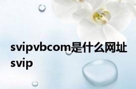 svipvbcom是什么网址 svip 